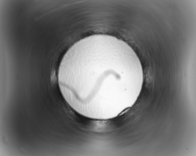 X0000088020089200706081450