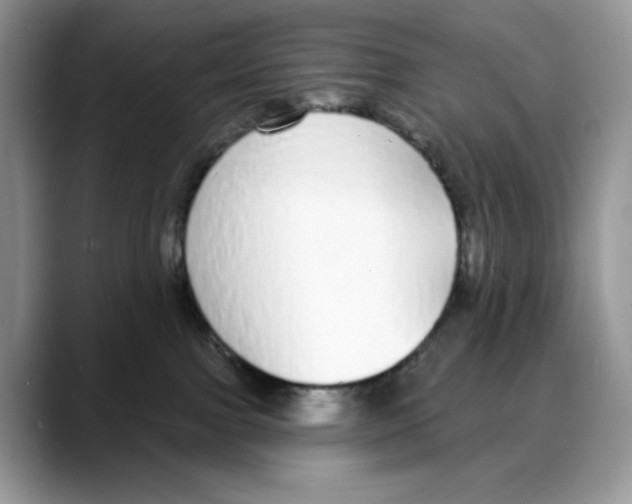X0000088020091200706081450
