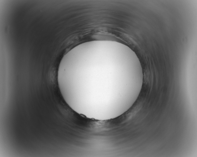 X0000088020092200706081450