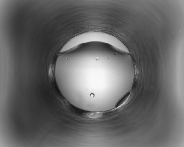 X0000088020094200706081450