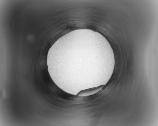 X0000088020096200706081450