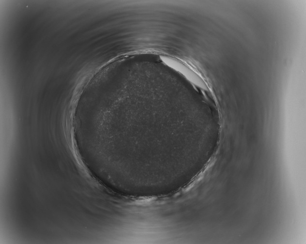 X0000088020097200706081449
