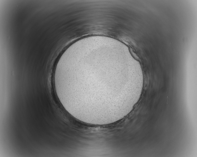 X0000088020098200706081449
