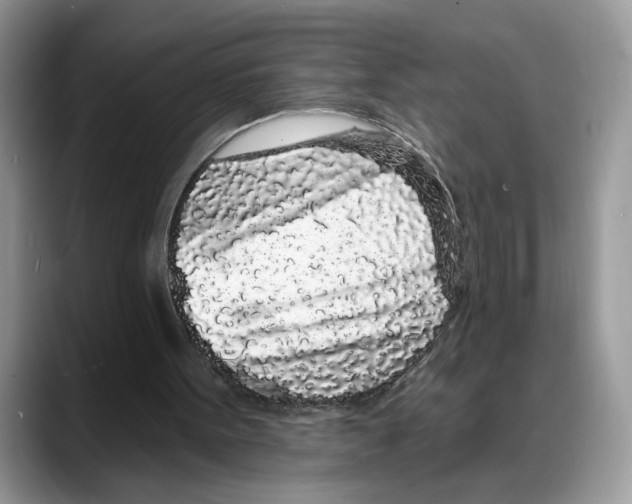 X0000088020099200706081449