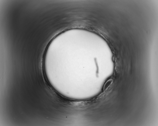 X0000088020100200706081449