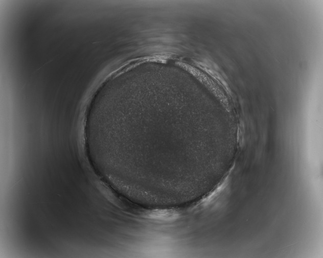 X0000088020101200706081449