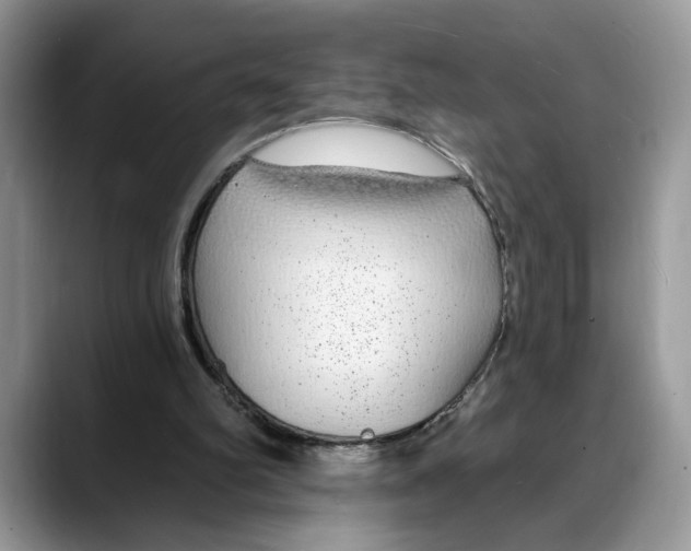 X0000088020102200706081449