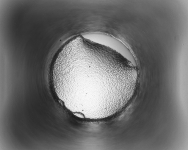 X0000088020103200706081449