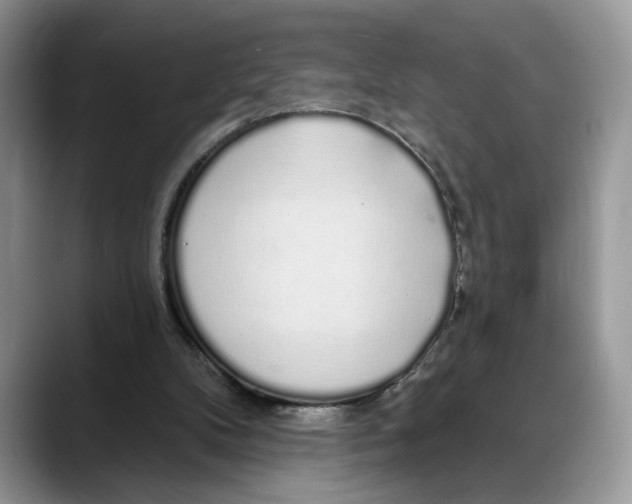 X0000088020104200706081449