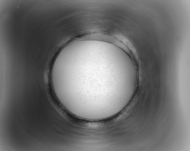 X0000088020105200706081449