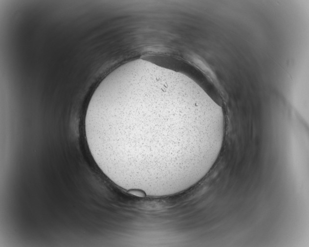 X0000088020106200706081449