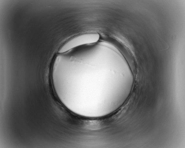X0000088020107200706081449