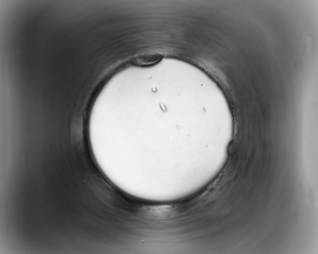 X0000088020108200706081449