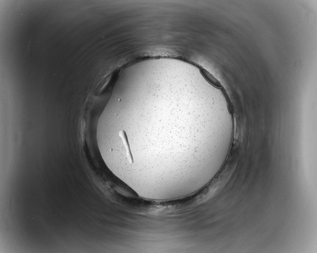 X0000088020109200706081449
