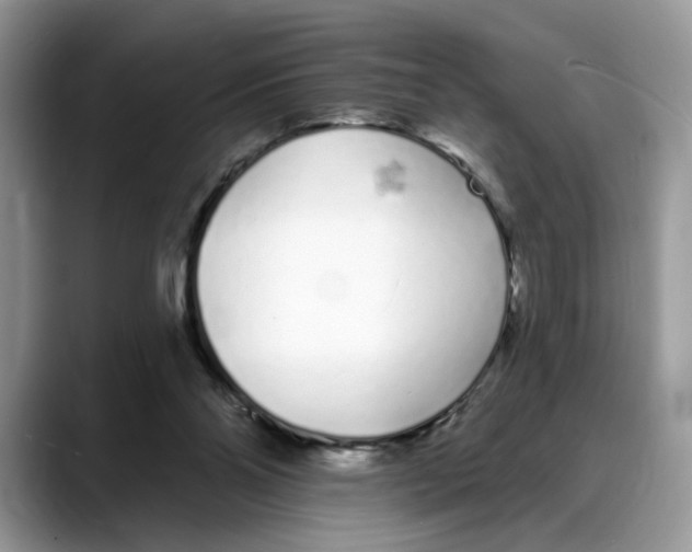 X0000088020110200706081449