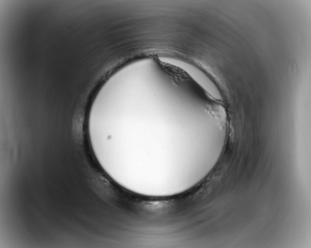 X0000088020111200706081449