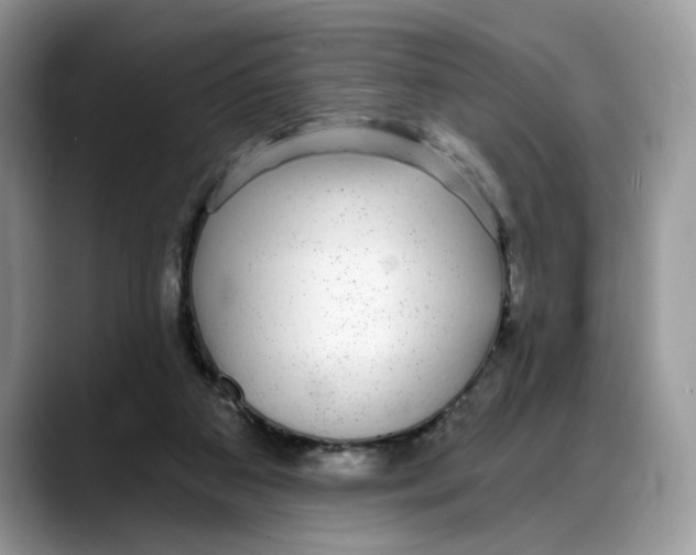 X0000088020113200706081449