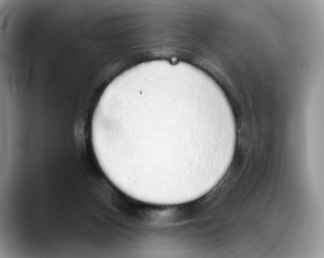 X0000088020116200706081449