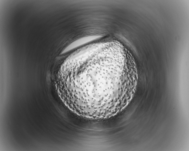 X0000088020117200706081449