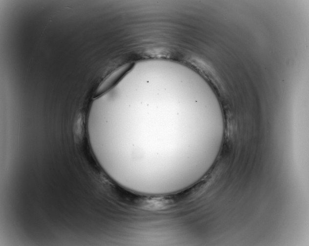 X0000088020121200706081449