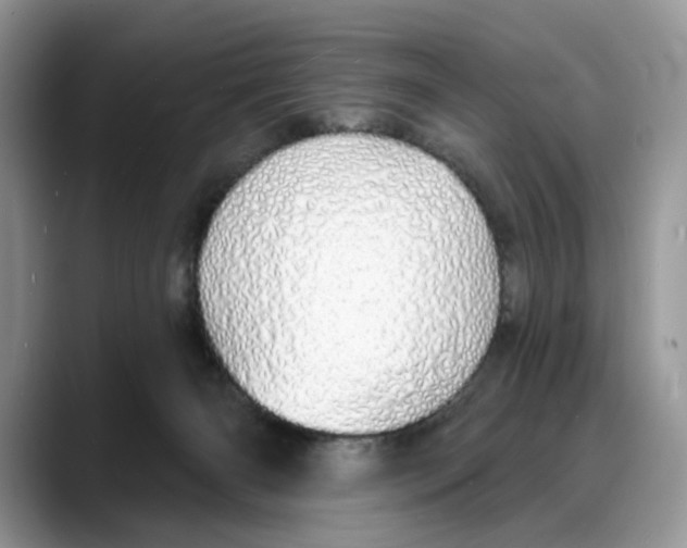X0000088020126200706081449