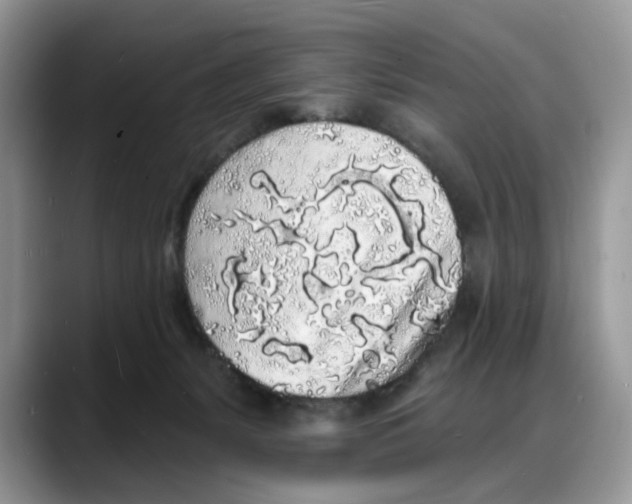 X0000088020127200706081449