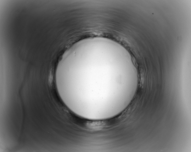 X0000088020129200706081449