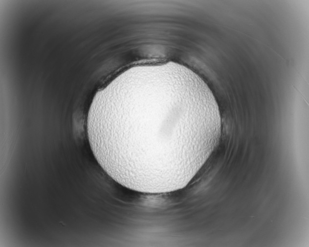 X0000088020141200706081449