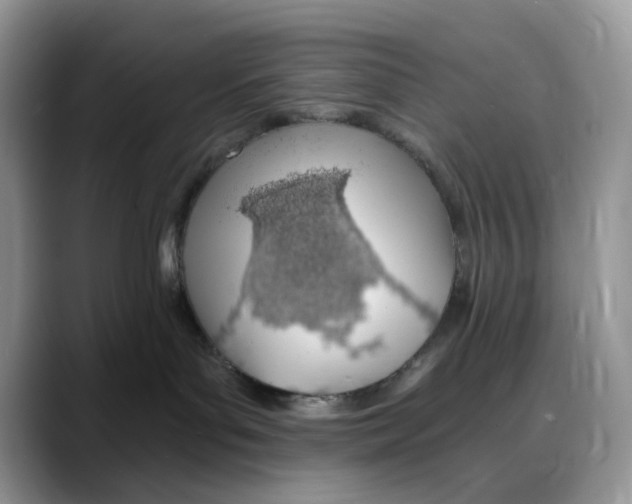 X0000088020143200706081449