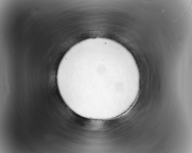 X0000088020144200706081449