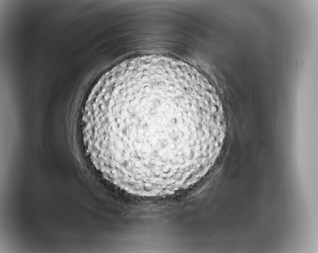X0000088020145200706081448