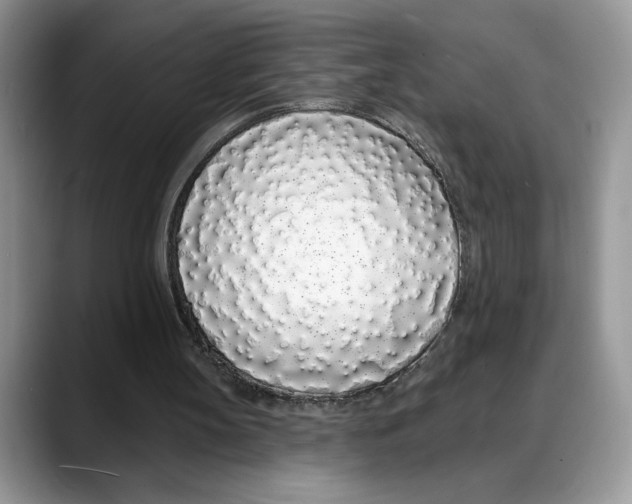 X0000088020147200706081448
