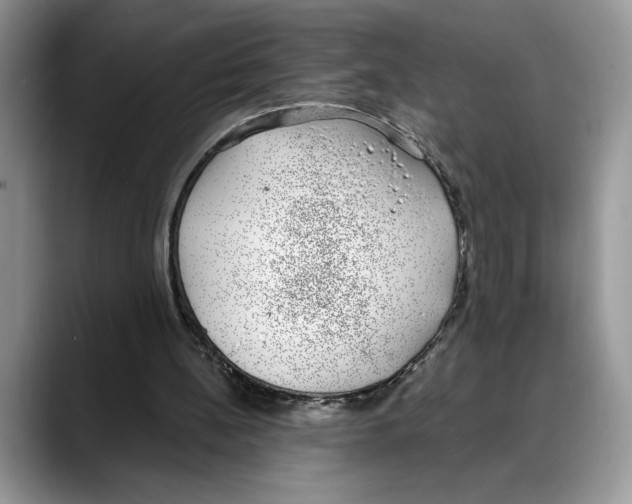 X0000088020148200706081448