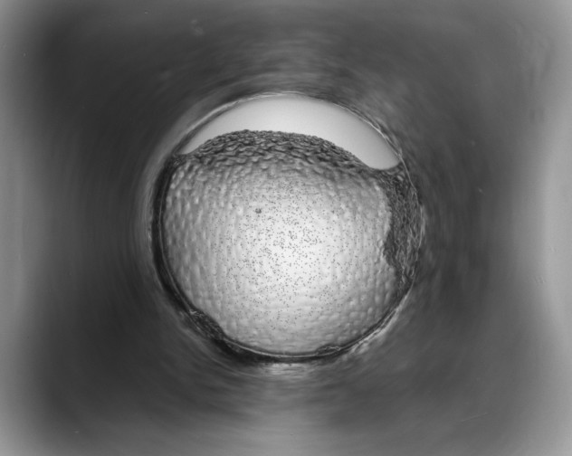 X0000088020150200706081448