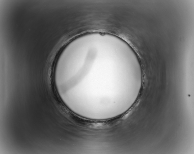 X0000088020151200706081448