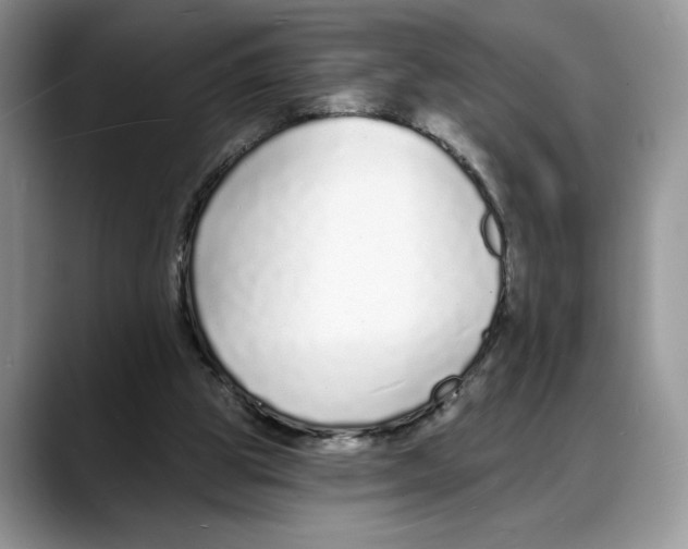 X0000088020153200706081448