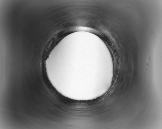 X0000088020154200706081448
