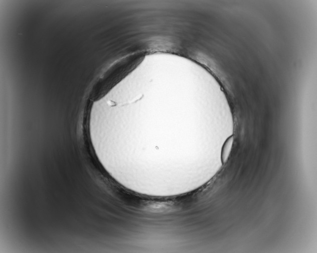 X0000088020155200706081448