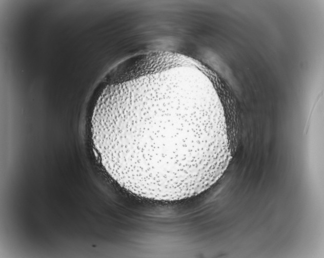 X0000088020156200706081448