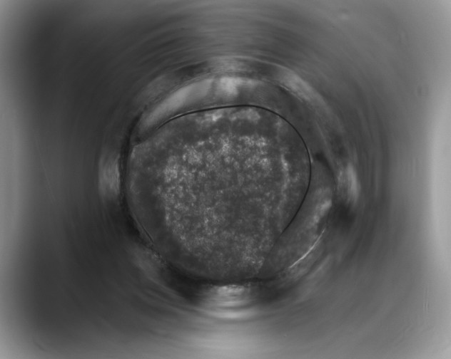 X0000088020158200706081448