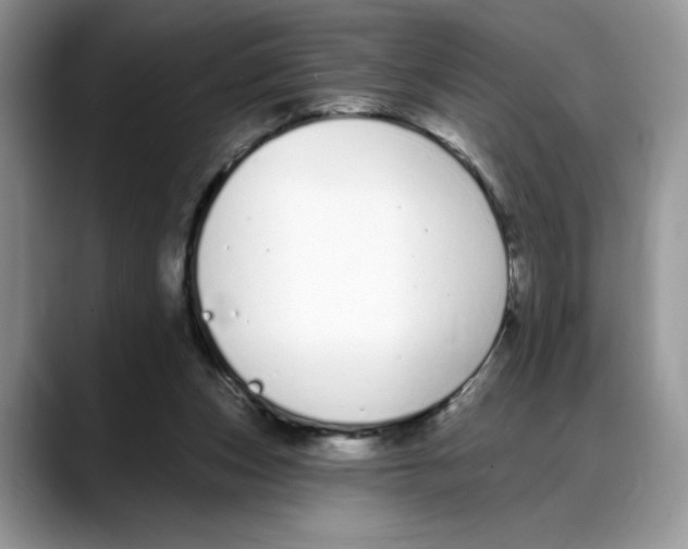 X0000088020159200706081448