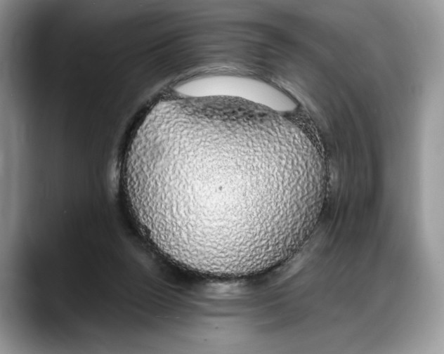 X0000088020160200706081448