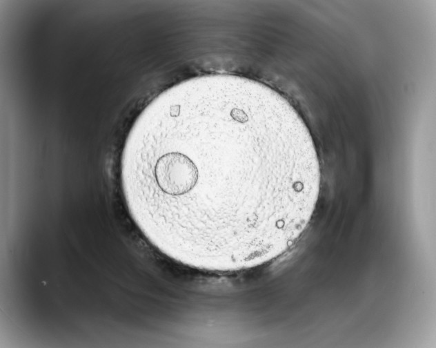 X0000088020162200706081448