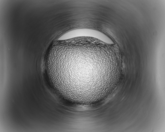 X0000088020164200706081448