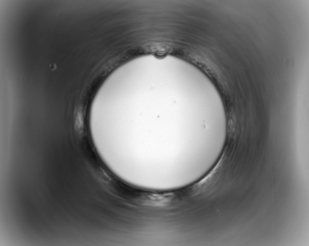 X0000088020166200706081448