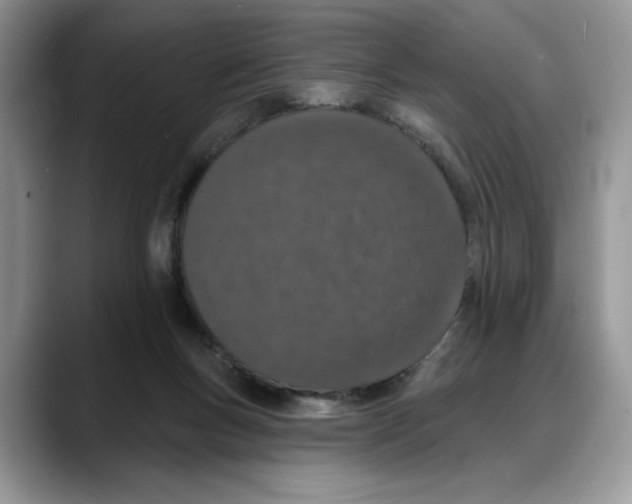 X0000088020167200706081448