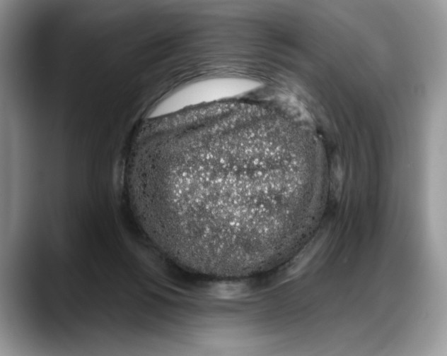 X0000088020168200706081448