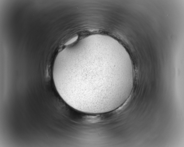 X0000088020170200706081448