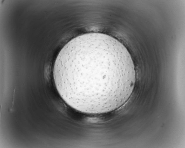 X0000088020171200706081448