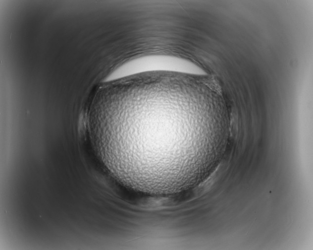 X0000088020172200706081448
